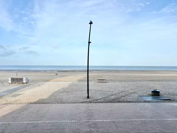 Instapklaar appartement op de Zeedijk van De Panne.